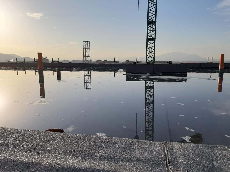 Fotografie proiect