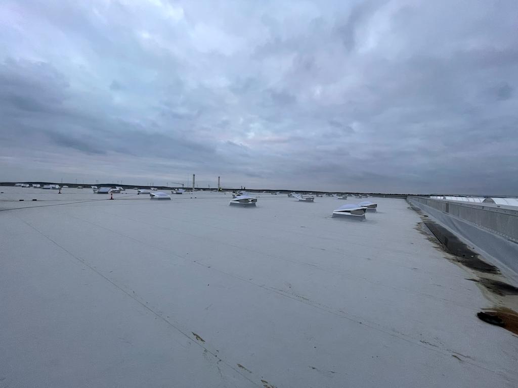 Fotografie proiect